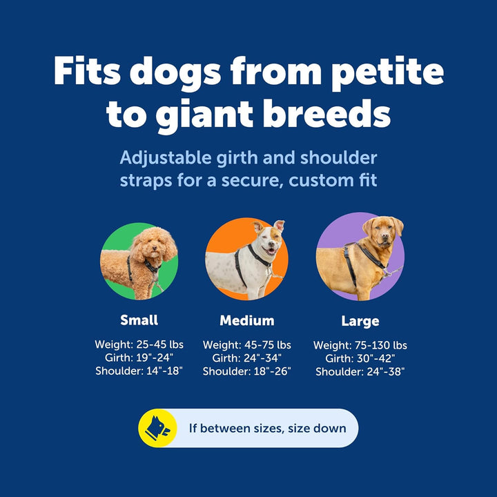PetSafe 3 in 1 Geschirr mit Zwei-Punkt-Steuerleine – No-Pull Harness – Medium – Schwarz – verstellba