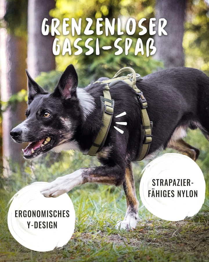 Rudelkönig Hundegeschirr Bella - Gepolstertes Brustgeschirr mit Haltegriff - Hunde Geschirr in Y-Des