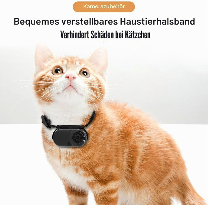 Fabater Katzenhalsband-Kamera, 1080P HD-Hunde-Tracker-Halsband, Mini-Action-Kamera für Videoaufzeich