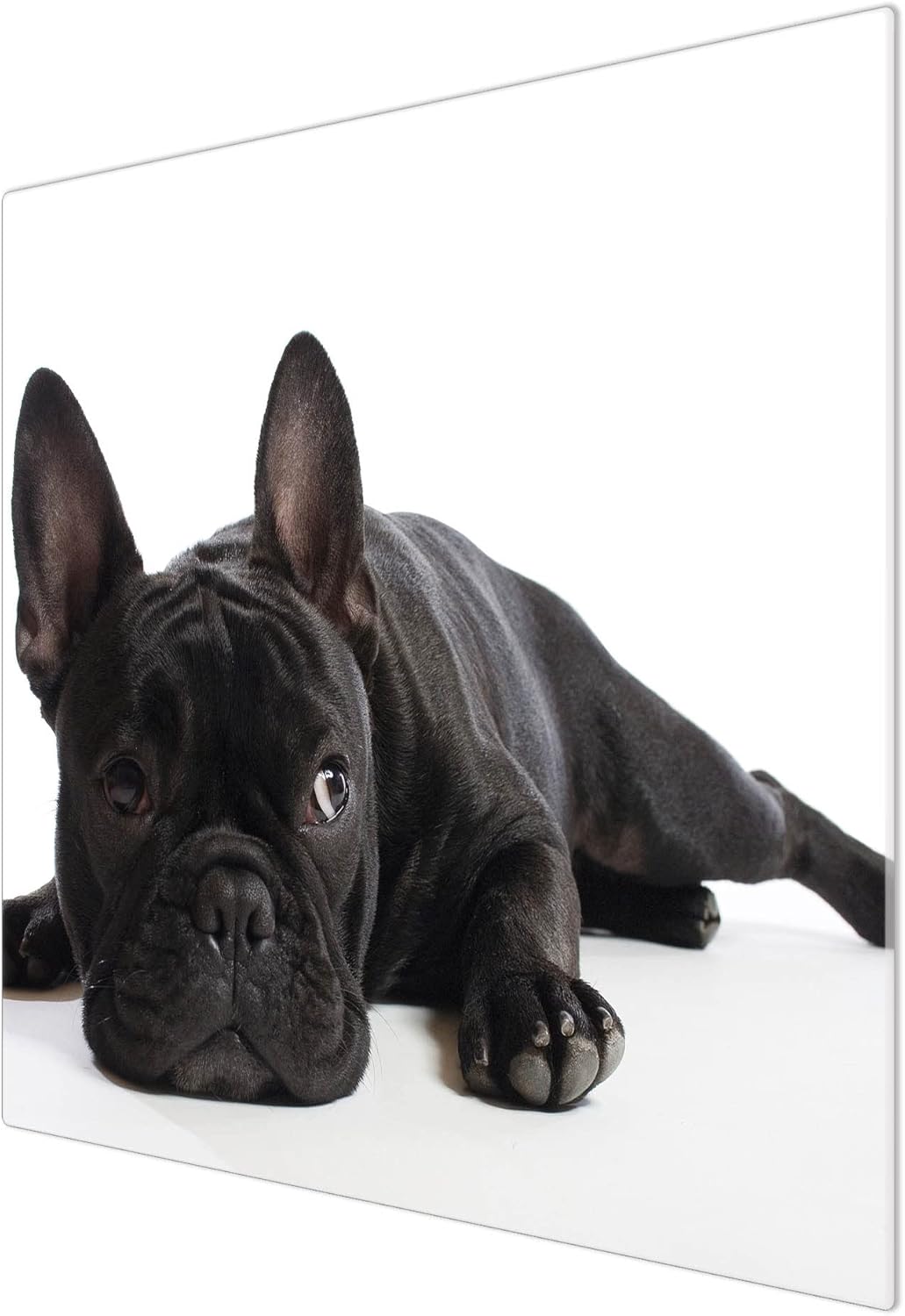 banjado® Herdabdeckplatte Glas 1-teilig 60x52 cm/Schneidebrett Herdabdeckung mit Motiv Bulldogge/Her