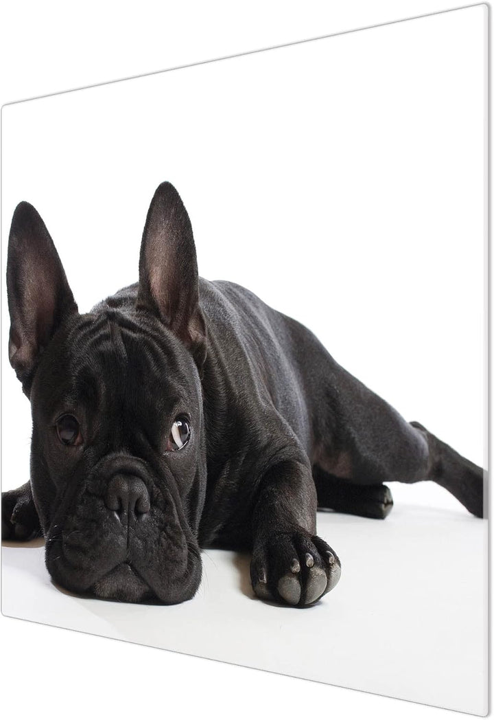 banjado® Herdabdeckplatte Glas 1-teilig 60x52 cm/Schneidebrett Herdabdeckung mit Motiv Bulldogge/Her