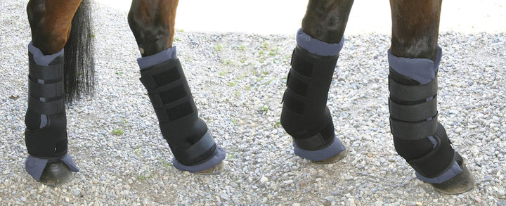 Kerbl 32469 Transportgamaschen, Neopren, M