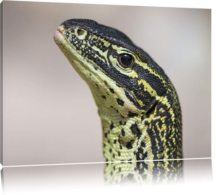 Pixxprint wachsamer Leguan auf Leinwand, XXL riesige Bilder fertig gerahmt mit Keilrahmen, Kunstdruc
