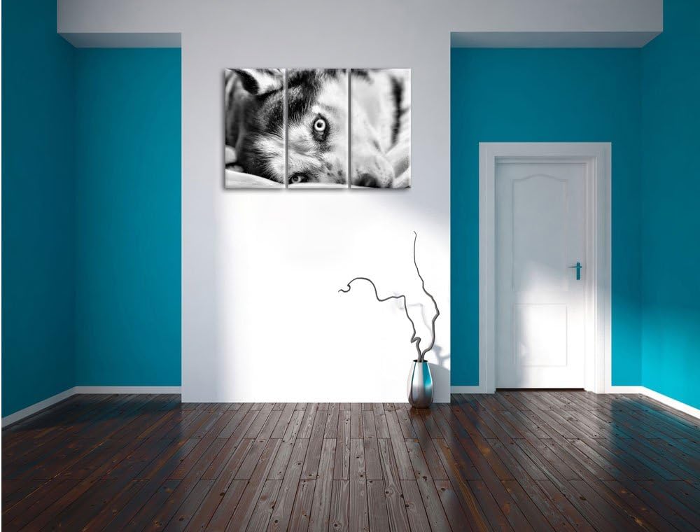 Pixxprint Husky mit Eisblauen Augen im Bett / 3-Teilig/Gesamtmass 120cm Leinwandbild bespannt auf Ho