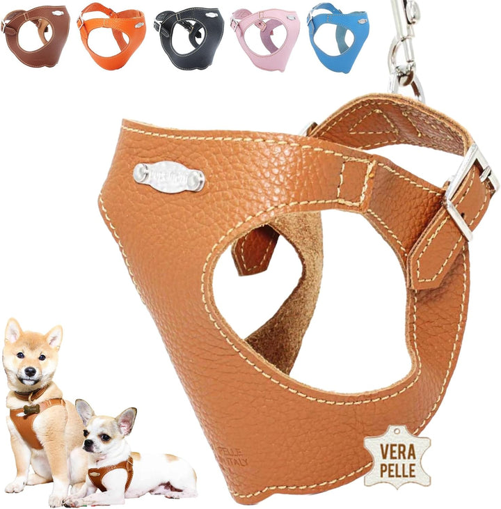 PUPAKIOTTI Basic Hundegeschirr Kleine und mittlere Grösse | Ergonomisches und verstellbares Hundeges