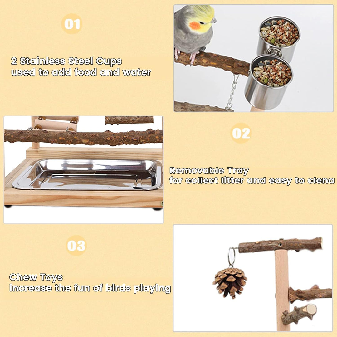 WishesMar Wellensittich Spielplatz Vogel-Spielplatz mit Feeder-Cup Spielzeug Leiter Erklimmen Schauk