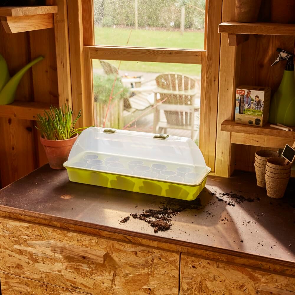 Siena Garden Zimmergewächshaus Maxi-Grow, 54x20x21,5 cm pastellgrün