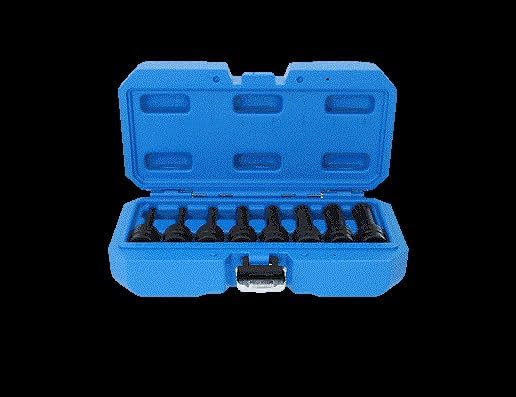 BRILLIANT TOOLS BT022605 1/2" Kraft-Bit-Stecknuss-Satz, XZN, 8-TLG, M5-M18 [Powered by KS Tools]