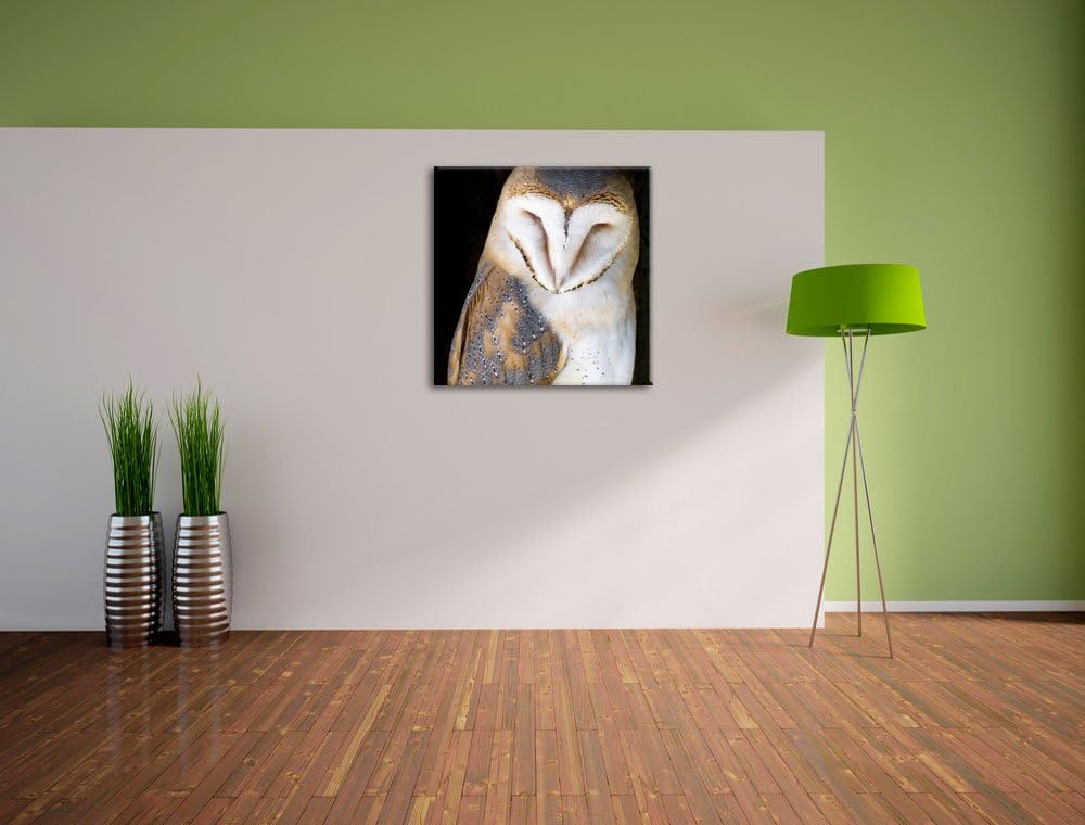 Pixxprint Schleiereule, Format: 70x70 auf Leinwand, XXL riesige Bilder fertig gerahmt mit Keilrahmen