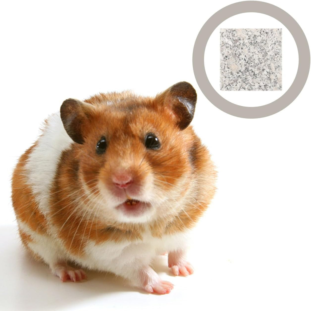 YARNOW Haustier Kühlmatte Aus Marmor 3.5 Zoll Für Hamster Kaninchen Und Kleine Tiere Sommer Kühlung