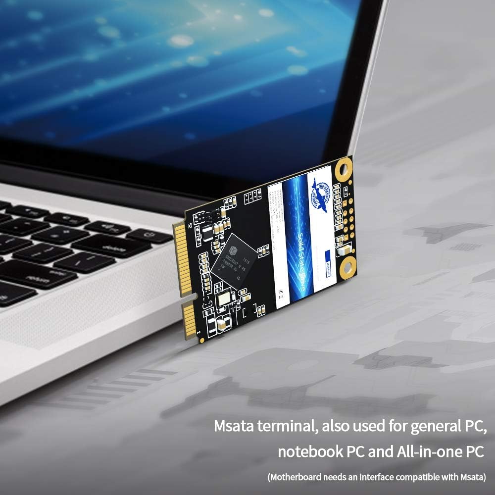 Dogfish SSD MSATA 1TB Solid State Drive Ngff Internen Desktop Computer 6Gb/s High Performance Festpl