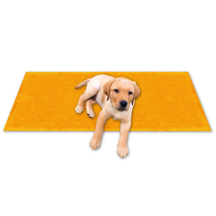Bestgoodies Tierdecke Haustierdecke Kuscheldecke Hundebett Katzendecke (Kuschel - Supersoft / 90x140