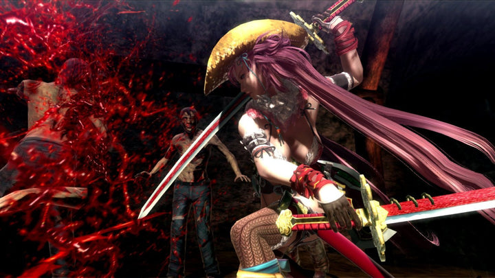 Onechanbara Z2: Chaos