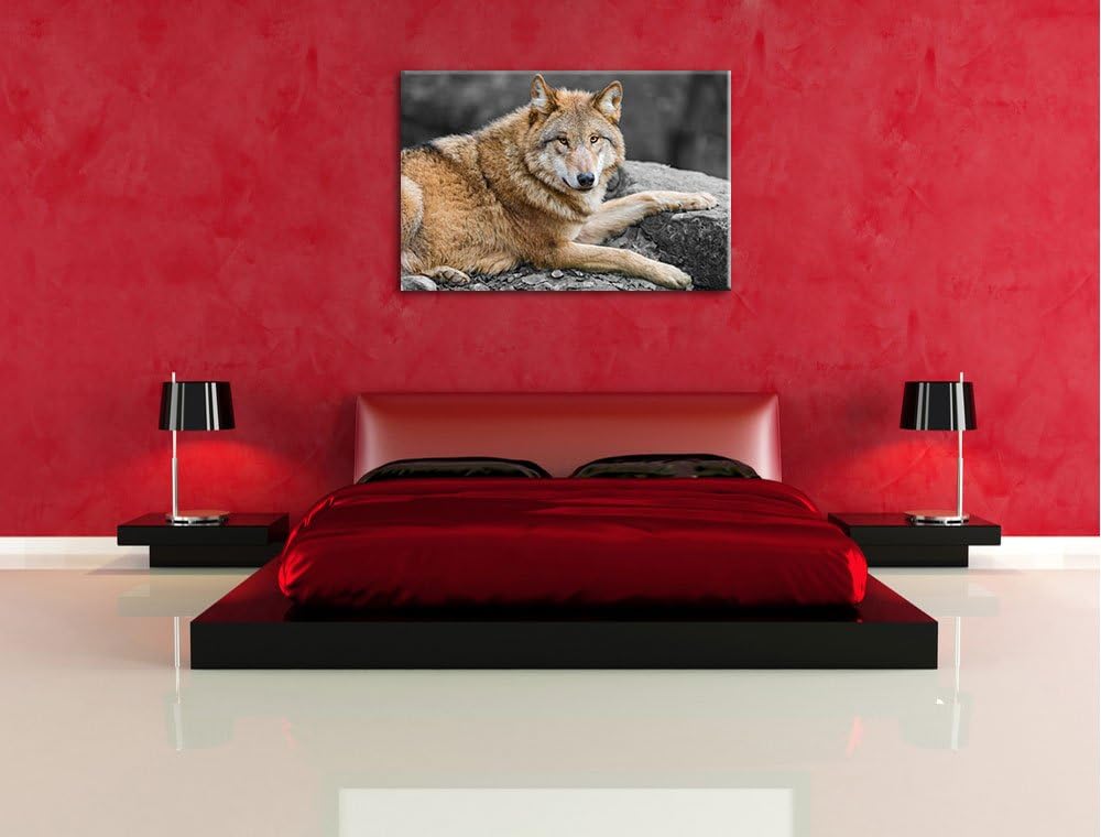 stolzer Wolf auf Stein schwarz/weiss auf Leinwand, XXL riesige Bilder fertig gerahmt mit Keilrahmen,