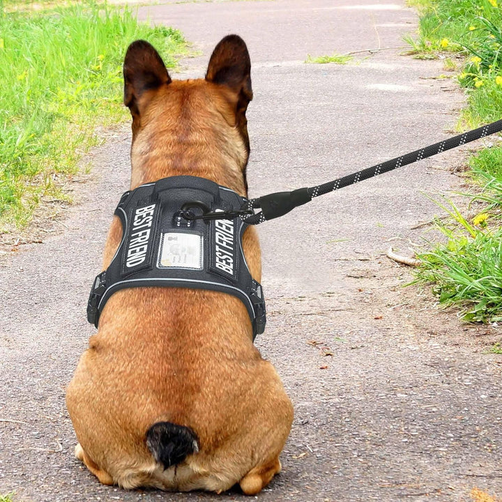 Haapaw Heavy Duty Taktisches Hundegeschirr für mittelgrosse Hunde, kein Zug Verstellbares Haustierge