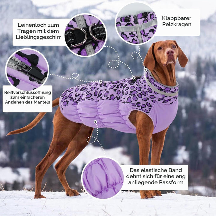 Kuoser Hundemantel Winter für Kleine Hunde Wasserdicht Winddicht, S | Wasserdicht Hundejacke mit Fle