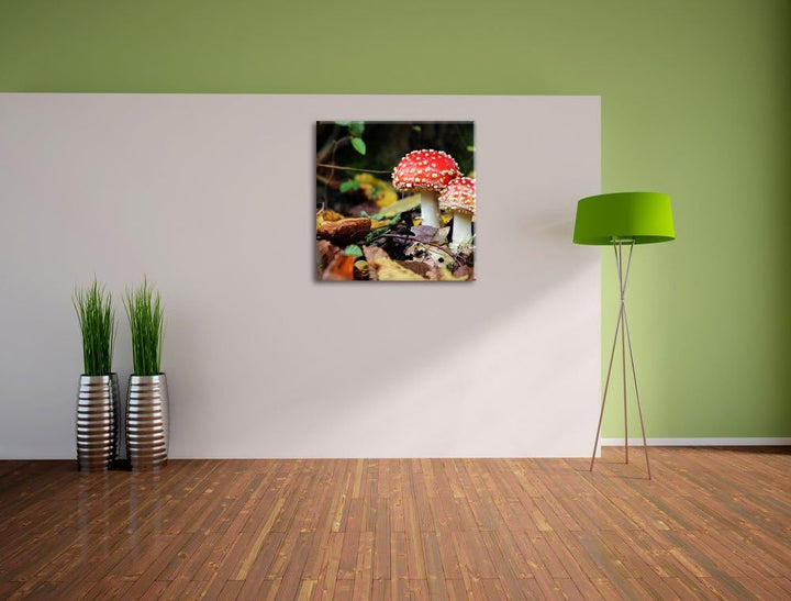 Pixxprint Pilz im Wald, Format: 70x70 auf Leinwand, XXL riesige Bilder fertig gerahmt mit Keilrahmen