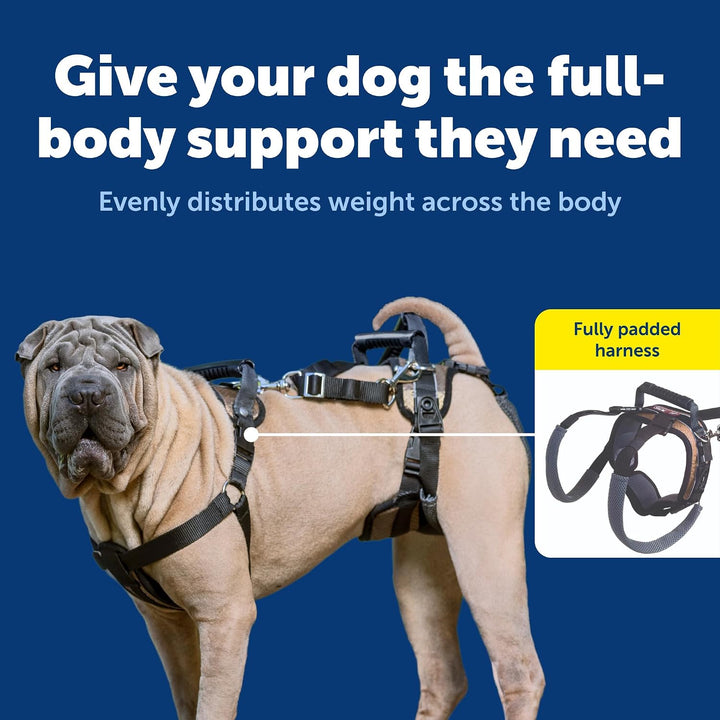 PetSafe CareLift Stützgeschirr – Ganzkörper-Hebehilfe mit Griff und Schultergurt – ideal für Haustie