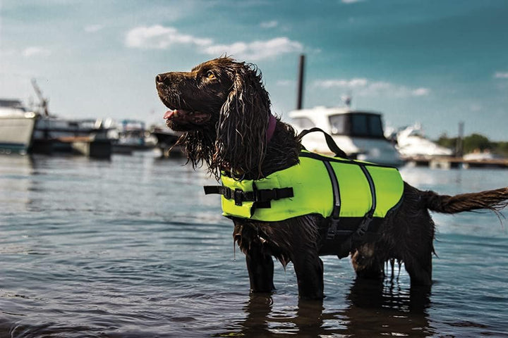 Nobby Hunde Schwimmhilfe, neon gelb, M, 35 cm, 1 Stück gelb M, Rückenlänge 35 cm, bis 25 kg, gelb M,