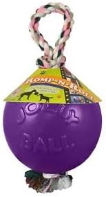 Jolly Pets (2 Pack) Romp-n-Roll 4.5 inch Purple | Rubber Ball with Rope for Dogs, One Size Purpur