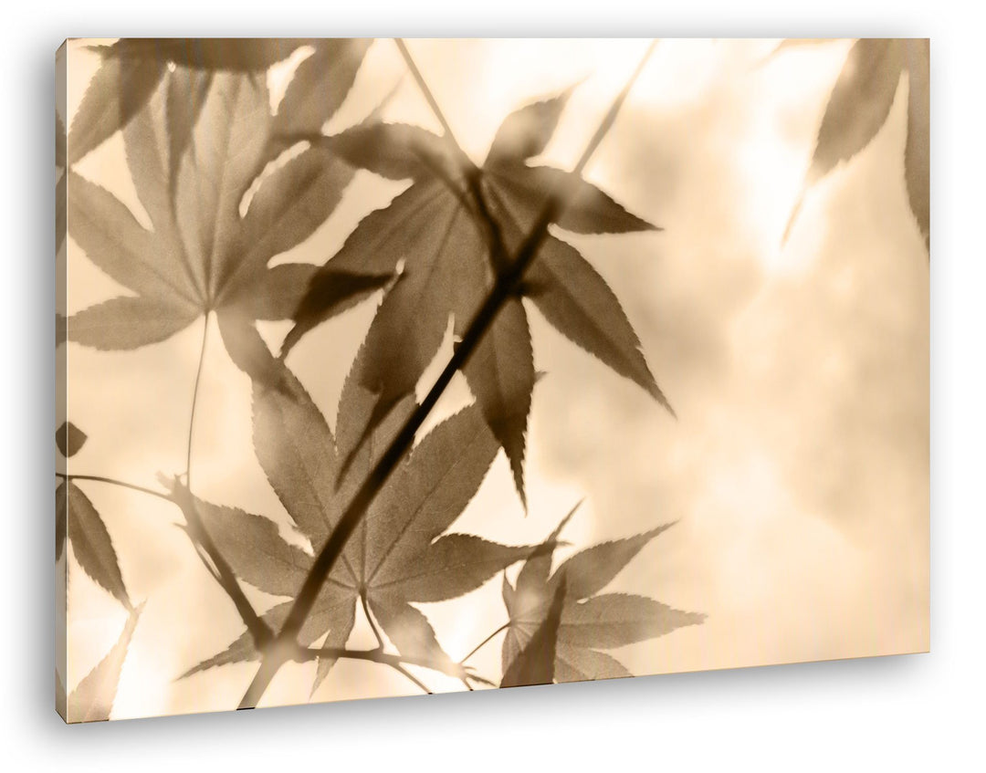 deyoli Ahornblätter Format: 80x60 als Leinwand, Motiv fertig gerahmt auf Echtholzrahmen, Hochwertige