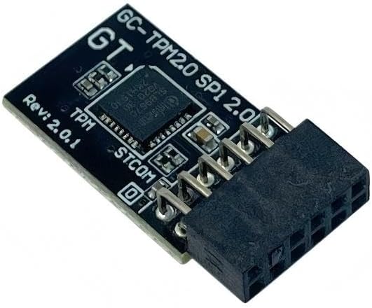 TPM 2.0 SPI 12pin SLB9670 Sicherheitsmodul für GIGABYTE B650 Gaming X AX, B650E AORUS, B650M Gaming,