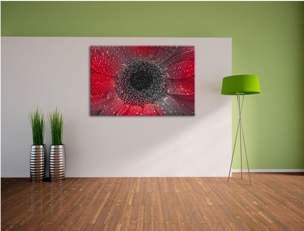 Rote Gerbera mit Wassertropfen schwarz/weiss Format: 100x70 auf Leinwand, XXL riesige Bilder fertig