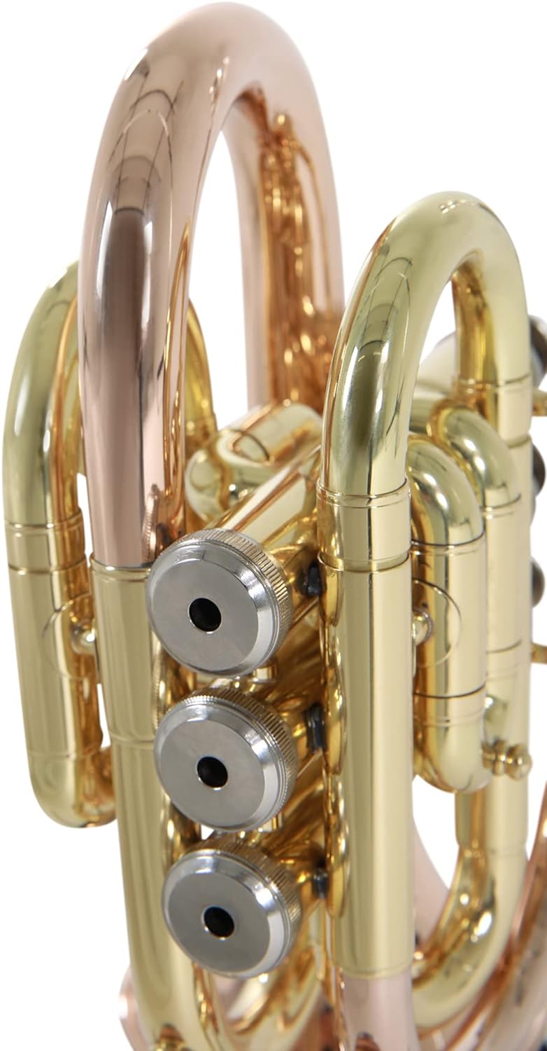 Roy Benson Bb Taschen-Trompete MOD.PT-101G lack. Goldmessing, inkl. Etui, PT-101G