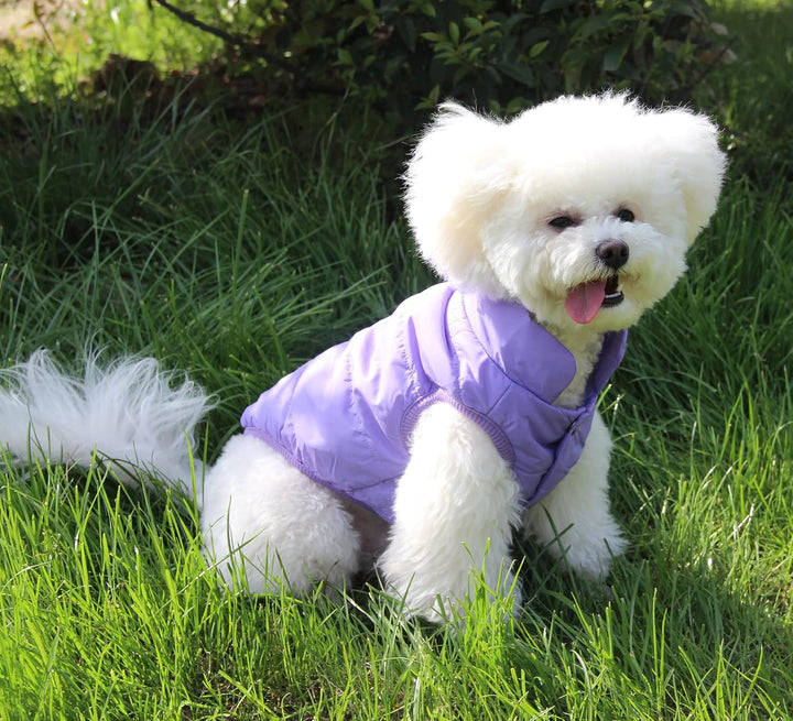 JoyDaog Fleece Hundejacke für Winter kaltes Wetter, Extra Weicher Hundemantel für Mittlere Hunde, Wi