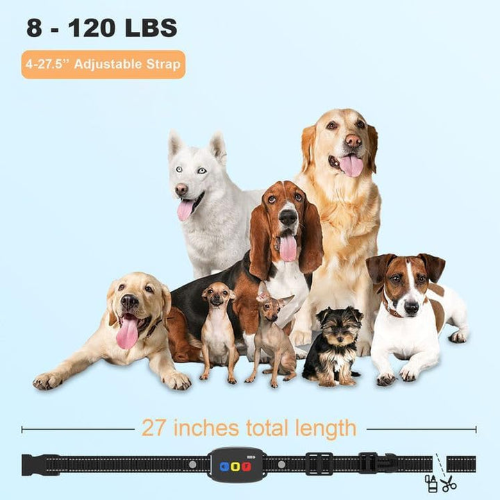 Generisch Agility-Ausrüstung für das Hundetraining,Hundehalsband zur Verhaltenssteuerung, längenvers
