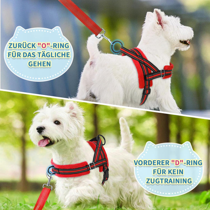 Hundegeschirr mit Leine für mittelgrosse Kleine Hunde, Weich gepolsterter No-Pull Brustgeschirr mit