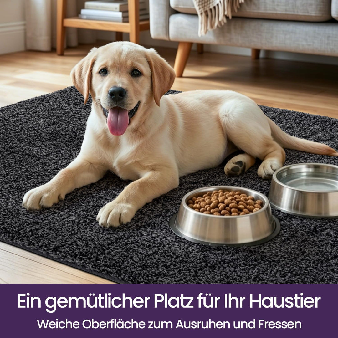 DEXI Schmutzfangmatte,rutschfeste Fussmatte für Innen und Aussen,Waschbar Eingangsteppich Saugstarke