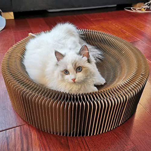 Kratzbett für Katzen, zusammenklappbar, runde Form für grosse Katzen