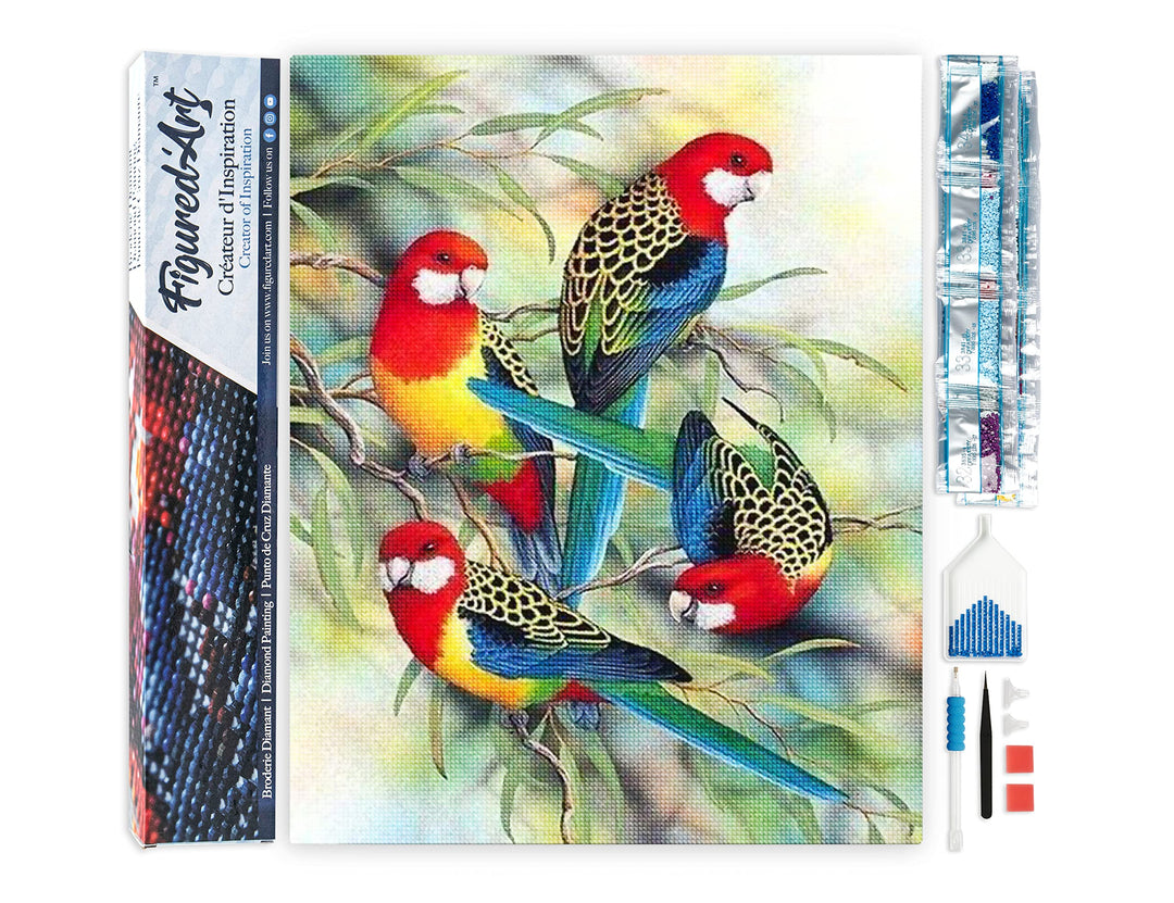 Figured'Art Diamond Painting Erwachsene 40x50cm Ganze Leinwand gerollt Papageien auf Niederlassung 5