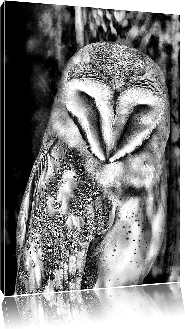 Monocrome, Schleiereule, Format: 100x70 auf Leinwand, XXL riesige Bilder fertig gerahmt mit Keilrahm