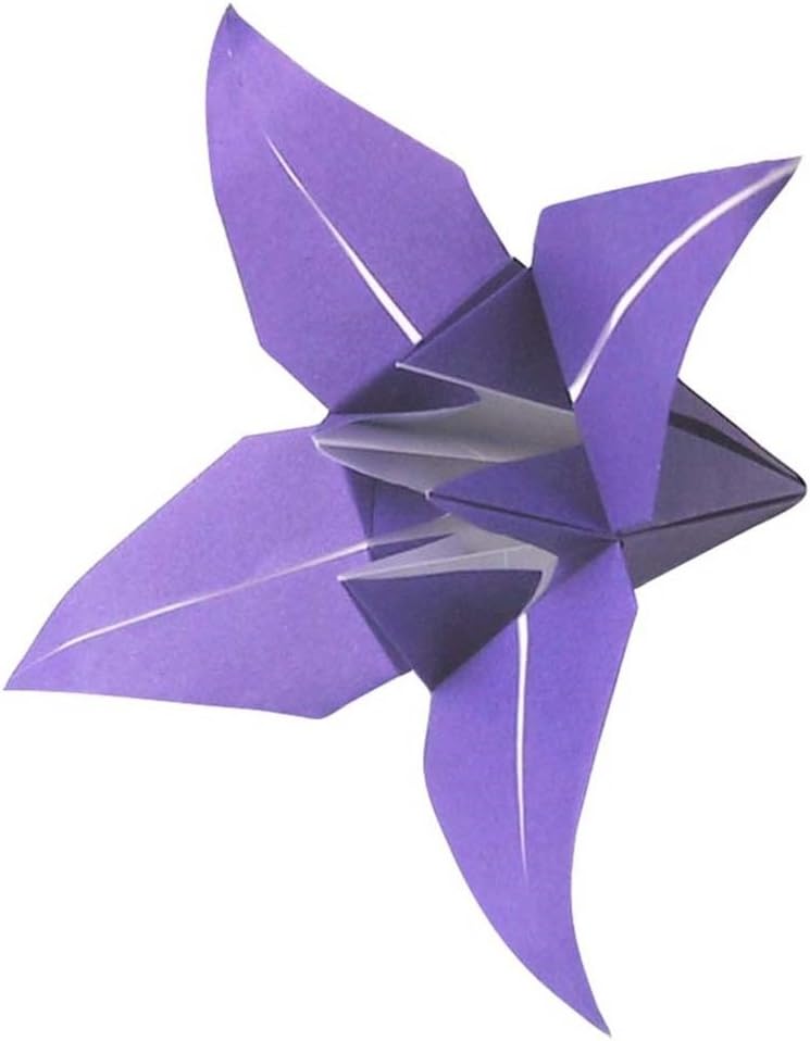 Generic Origami-Papier - Origami-Papier Set - 60 Unifarben Sortiert - 500 Blatt - 15cm x 15cm