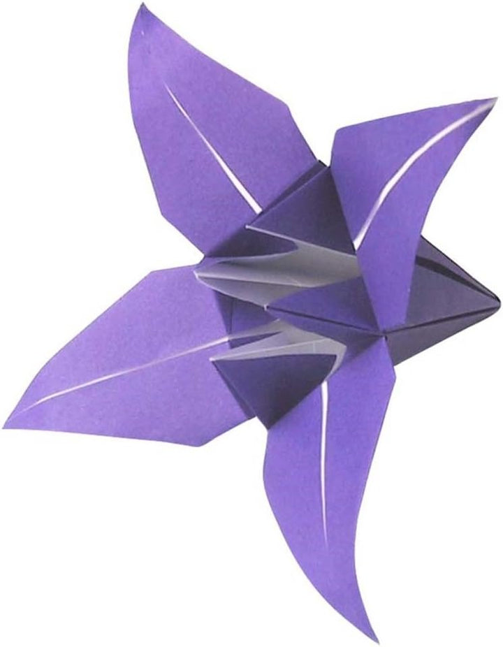 Generic Origami-Papier - Origami-Papier Set - 60 Unifarben Sortiert - 500 Blatt - 15cm x 15cm