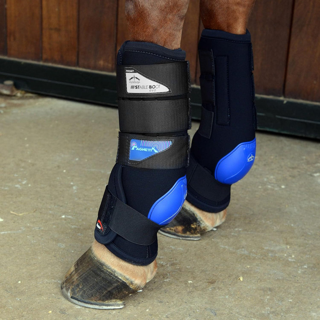 Veredus - MAGNETIK Stable Boot EVO hinten schwarz-blau S, schwarz-blau S