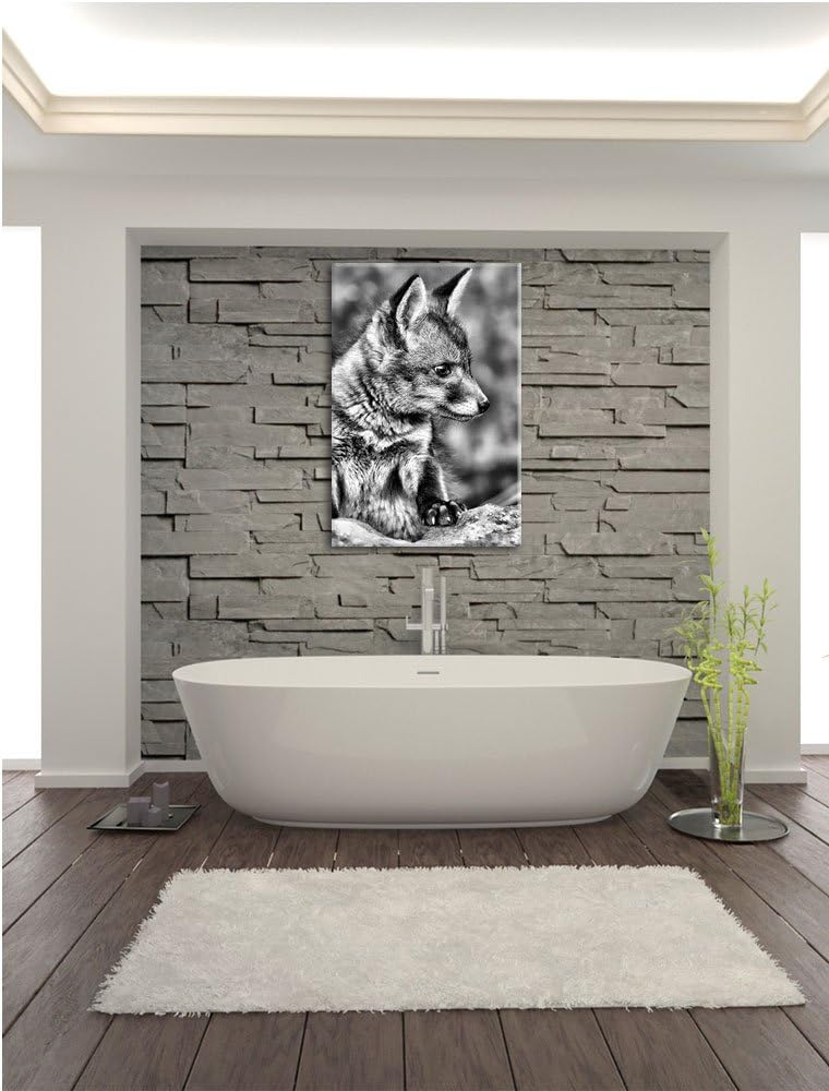Monocrome, junger Fuchs, Format: 100x70 auf Leinwand, XXL riesige Bilder fertig gerahmt mit Keilrahm