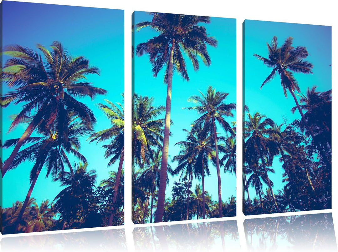 Pixxprint Tropische Palmen als Leinwandbild | Grösse: 3 Teilig (120x80) | Wandbild| Kunstdruck | fer