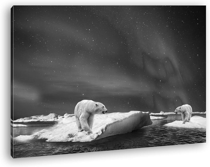 deyoli Eisbären im Polarlicht Format: 120x80 Effekt: Schwarz&Weiss als Leinwand, Motiv fertig gerahm