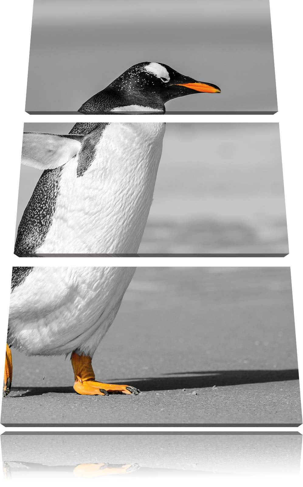 watschelnder Pinguin am Strand schwarz/weiss 3-Teiler Leinwandbild 120x80 Bild auf Leinwand