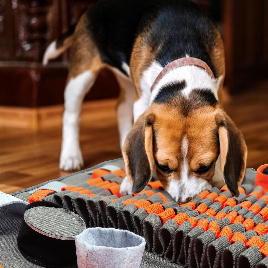 Hund Schnüffelteppich, Schnüffelteppich für Hunde Waschbar Schnüffelmatte Trainingsmatte Riechen Tra