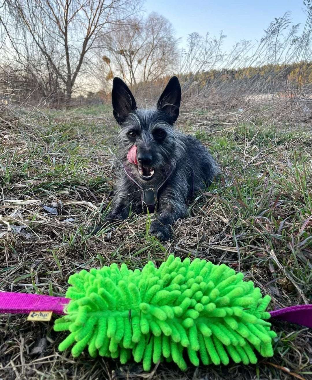 Dingo Mop mit Zwei Griff Hundespielzeug länge 60 cm Agility Apporte Motivation Spiel mit Hund Zerrsp