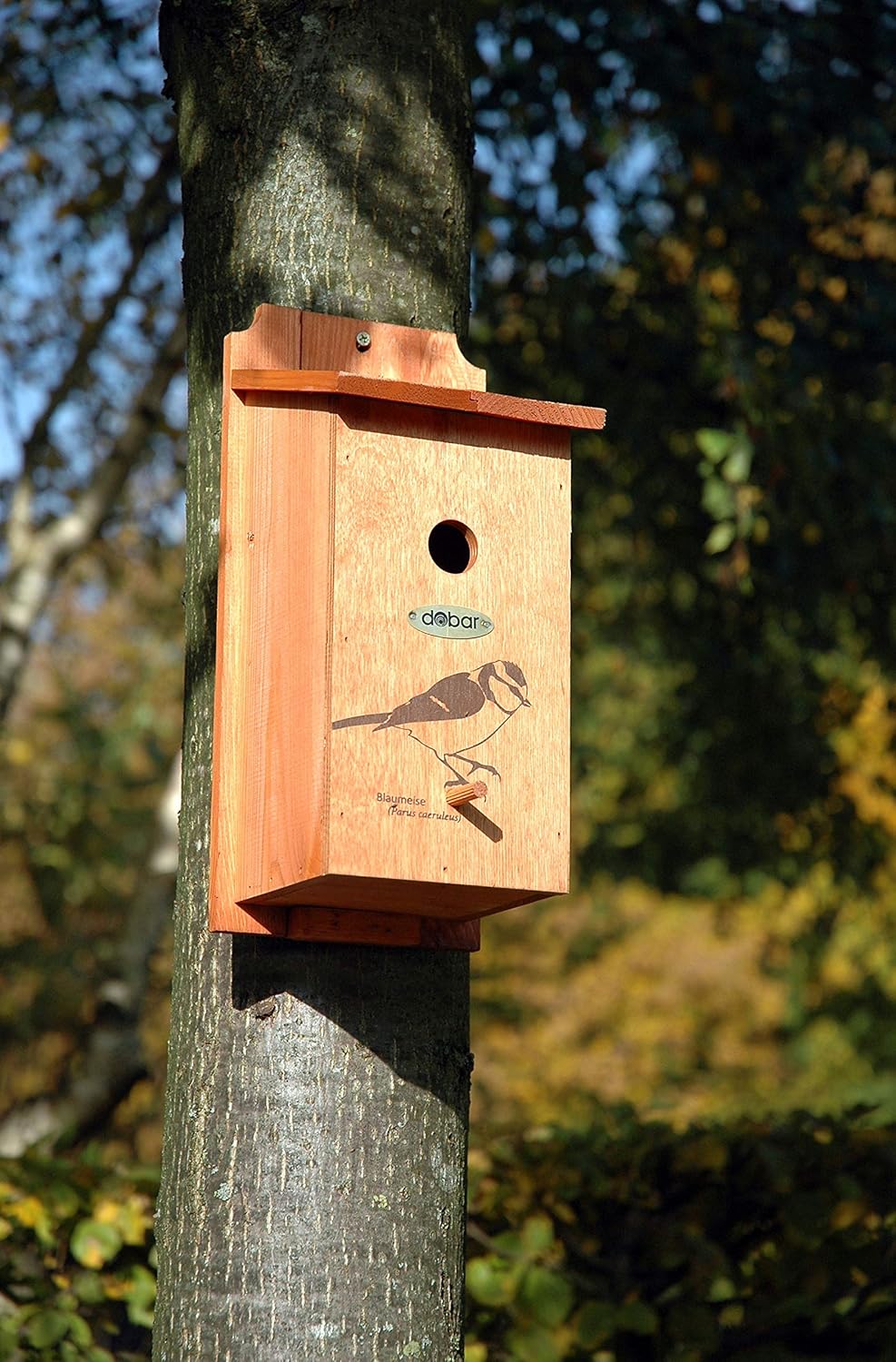 dobar® green label 22363FSCe Nistkasten "Blaumeise" - Meisenkasten aus Holz - Nisthilfe für Wildvöge