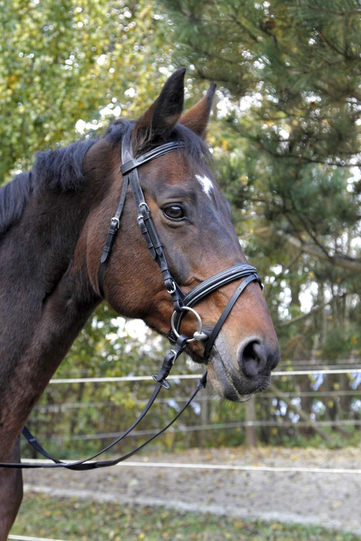 KERBL Trensenzaum Classic Braun Pony, Braun Pony