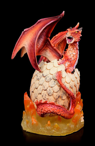 Drachen Figur Feuerdrache schlüpft aus Ei 20,5 cm | Fantasy Deko Statue