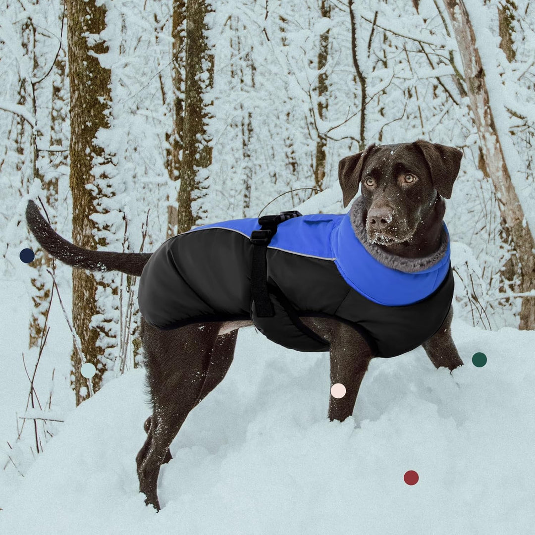 IECOii Hundemantel Winter,Warme Fleece Rollkragen Hundejacke,Wasserdicht Winterjacken Wintermäntel f
