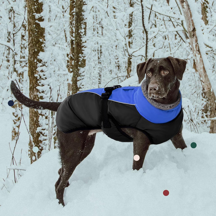IECOii Hundemantel Winter,Warme Fleece Rollkragen Hundejacke,Wasserdicht Winterjacken Wintermäntel f