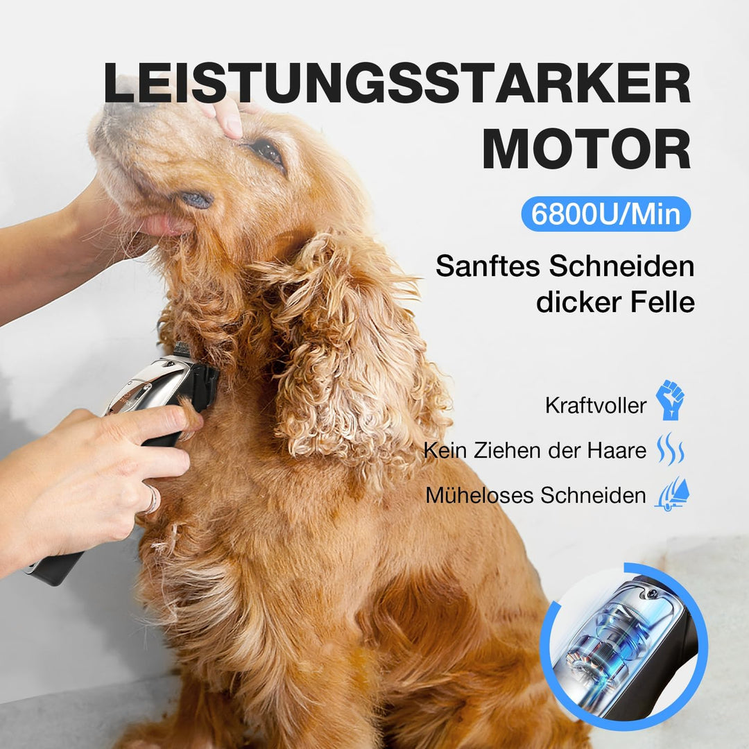 Leise Hundeschermaschine Dichtes Fell, Profi Schermaschine Hund aus Edelstahl,Professionelle Hunde H